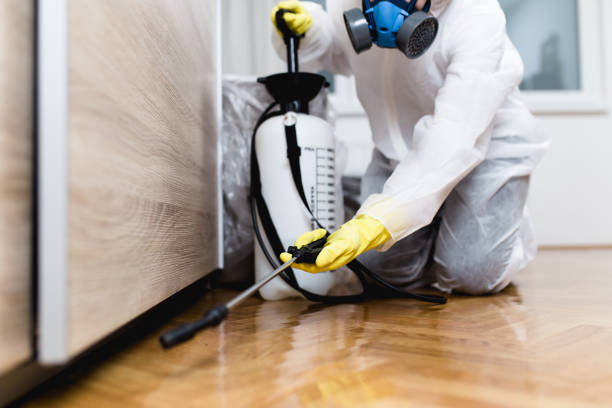 Best Rat Extermination Near Me  in Eatonville, WA