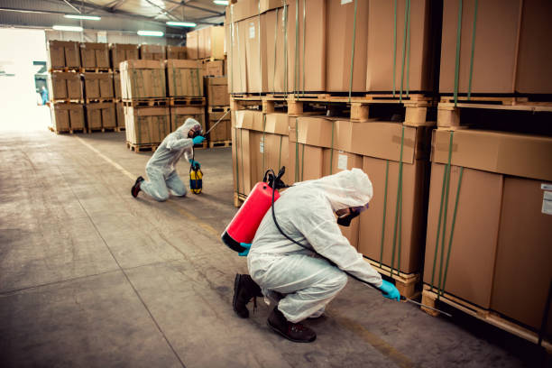 Best Bed Bug Extermination  in Eatonville, WA