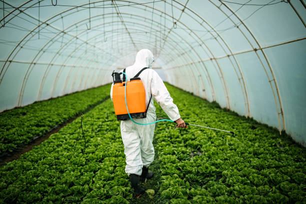 Best Pest Removal Services  in Eatonville, WA