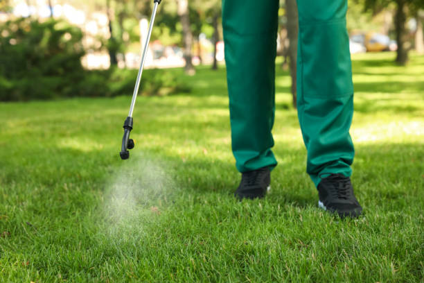 Best Pest Control Near Me  in Eatonville, WA