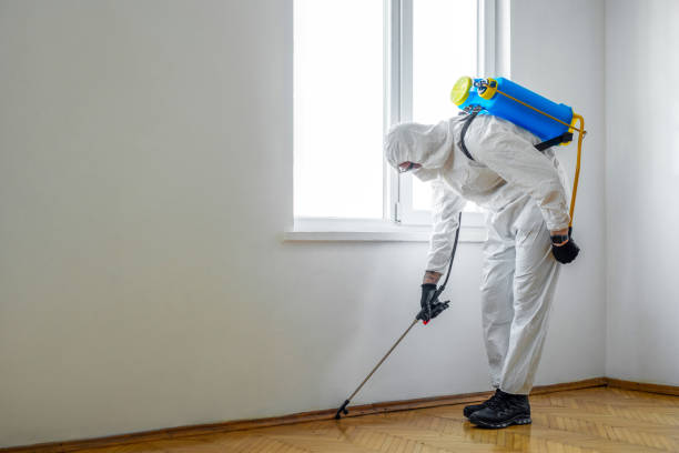 Best Insect Control  in Eatonville, WA