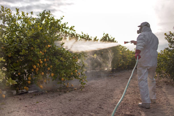 Professional Pest Control in Eatonville, WA