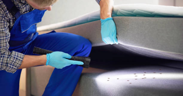 Best Residential Pest Control  in Eatonville, WA