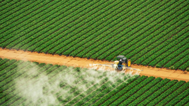 Best Pest Control for Homes  in Eatonville, WA