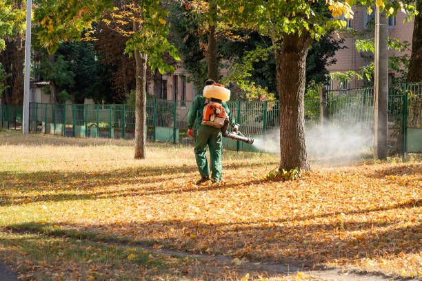 Best Exterminator Services  in Eatonville, WA