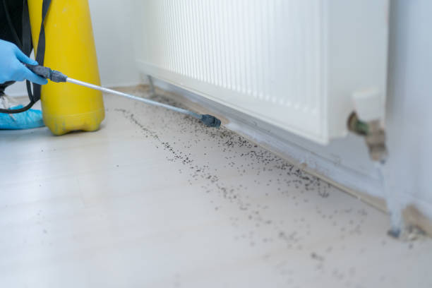 Reliable Eatonville, WA Pest Control Solutions